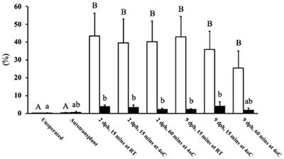 Cyclosporin A Prevents Ovarian Graft Rejection, and Permits Normal Germ Cell Maturation Within the First 5 Weeks Post-transplantation, in the Domestic Turkey (Meleagris gallopavo)